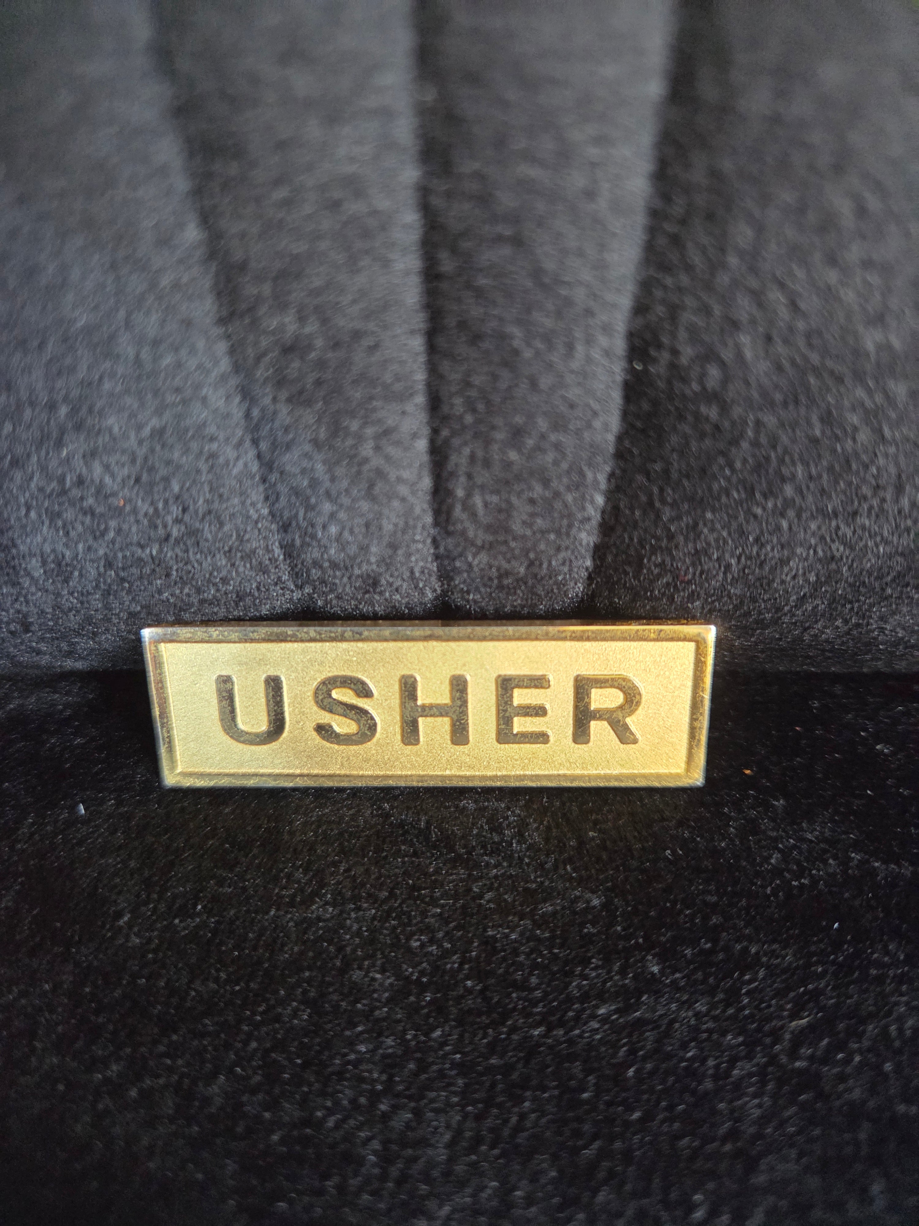 USHER Goldtone Brooch Pin